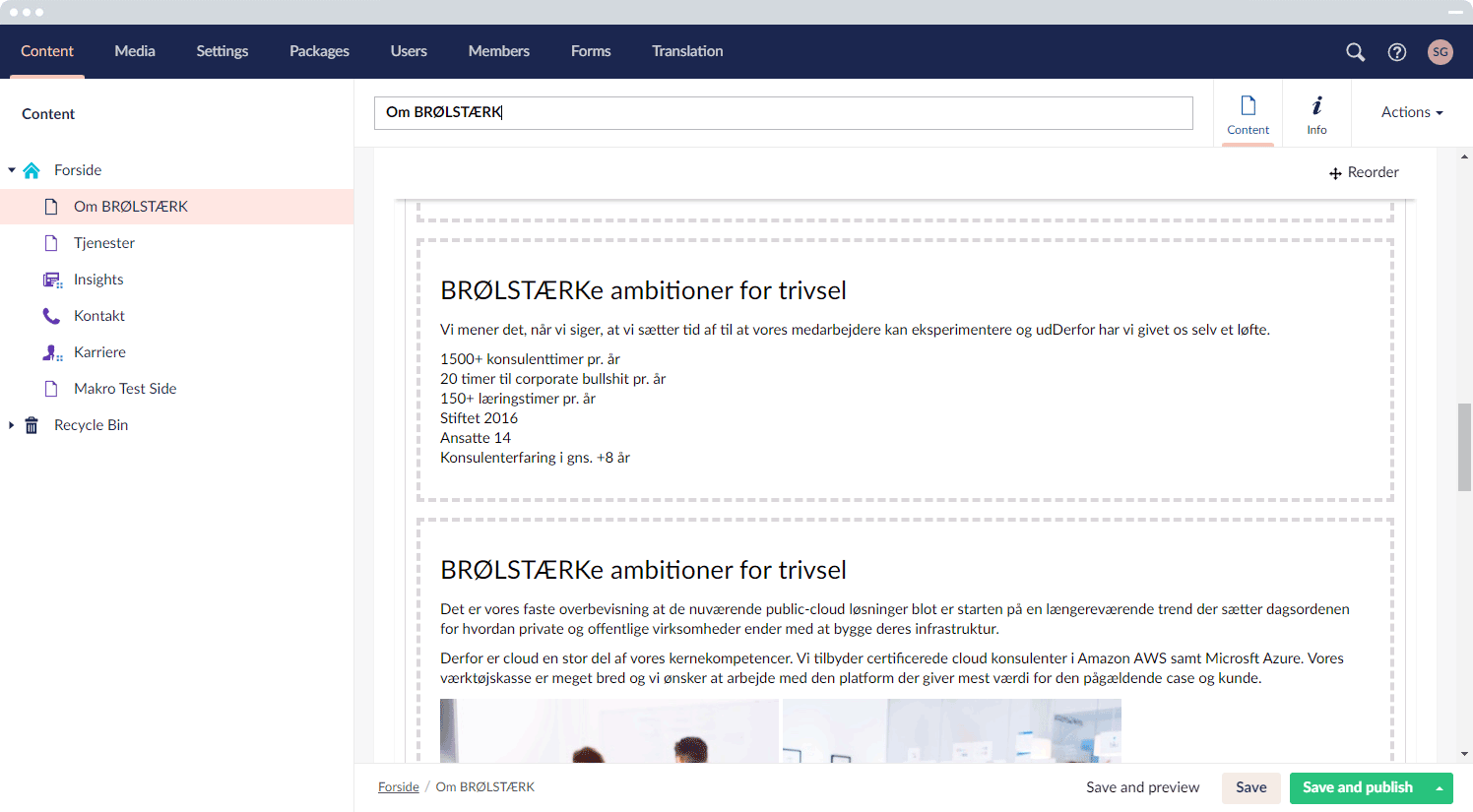 BRØLSTÆRK Umbraco screen 2